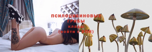 бошки Богородск