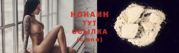 стафф Богданович