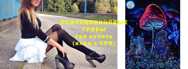 стафф Богданович